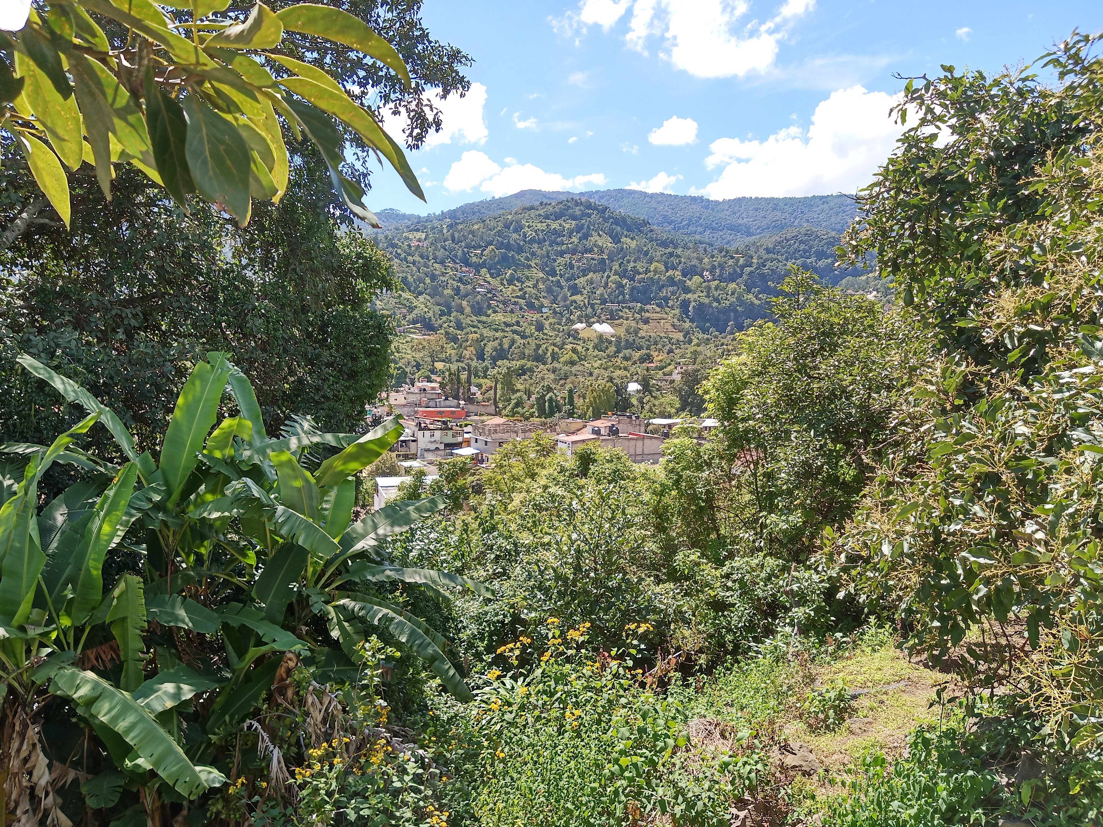 La Casa del Abuelo image 4