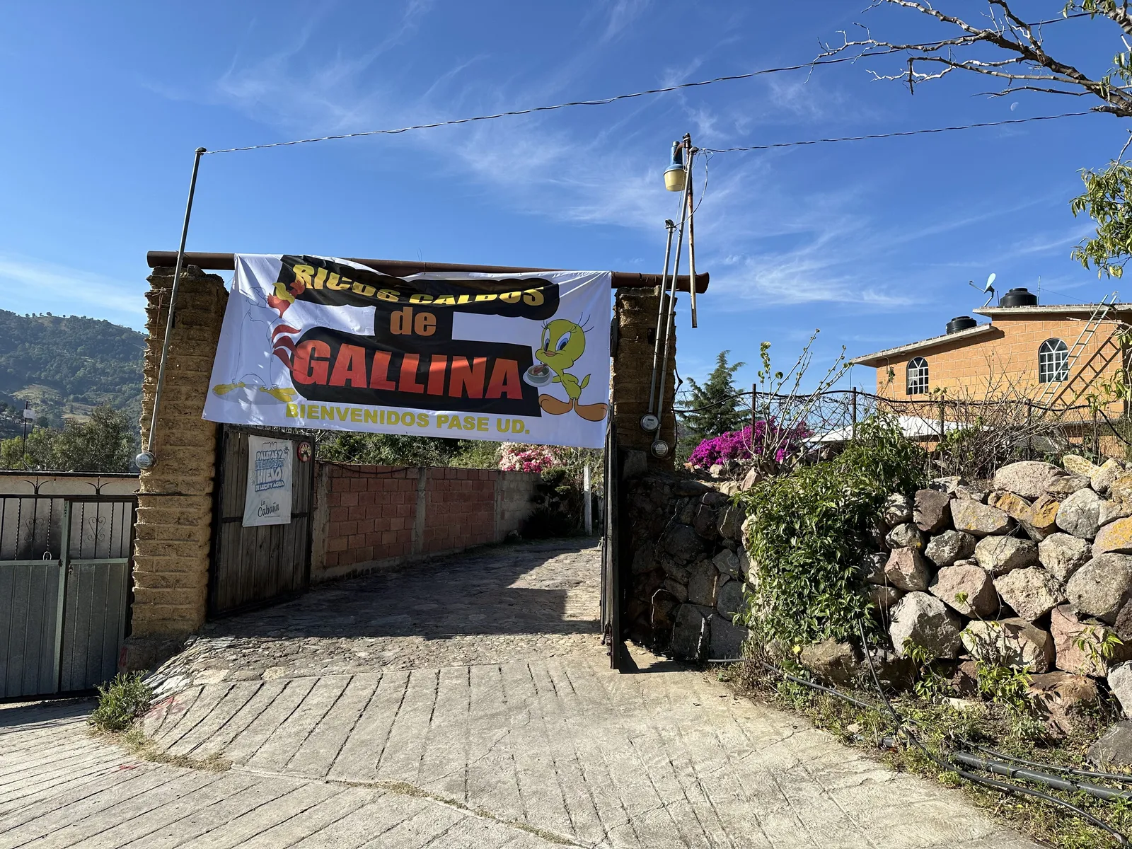 Caldos de Gallina Pakito image 1