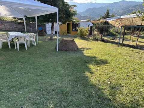 Caldos de Gallina Pakito image 3