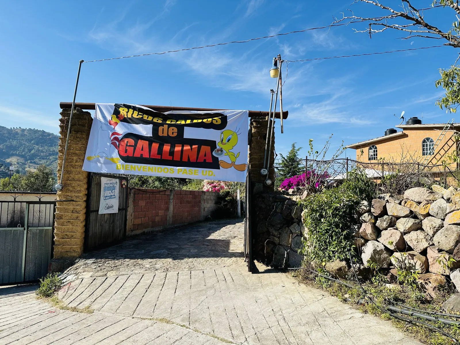 Caldos de Gallina Pakito image 6