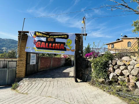 Caldos de Gallina Pakito image 6