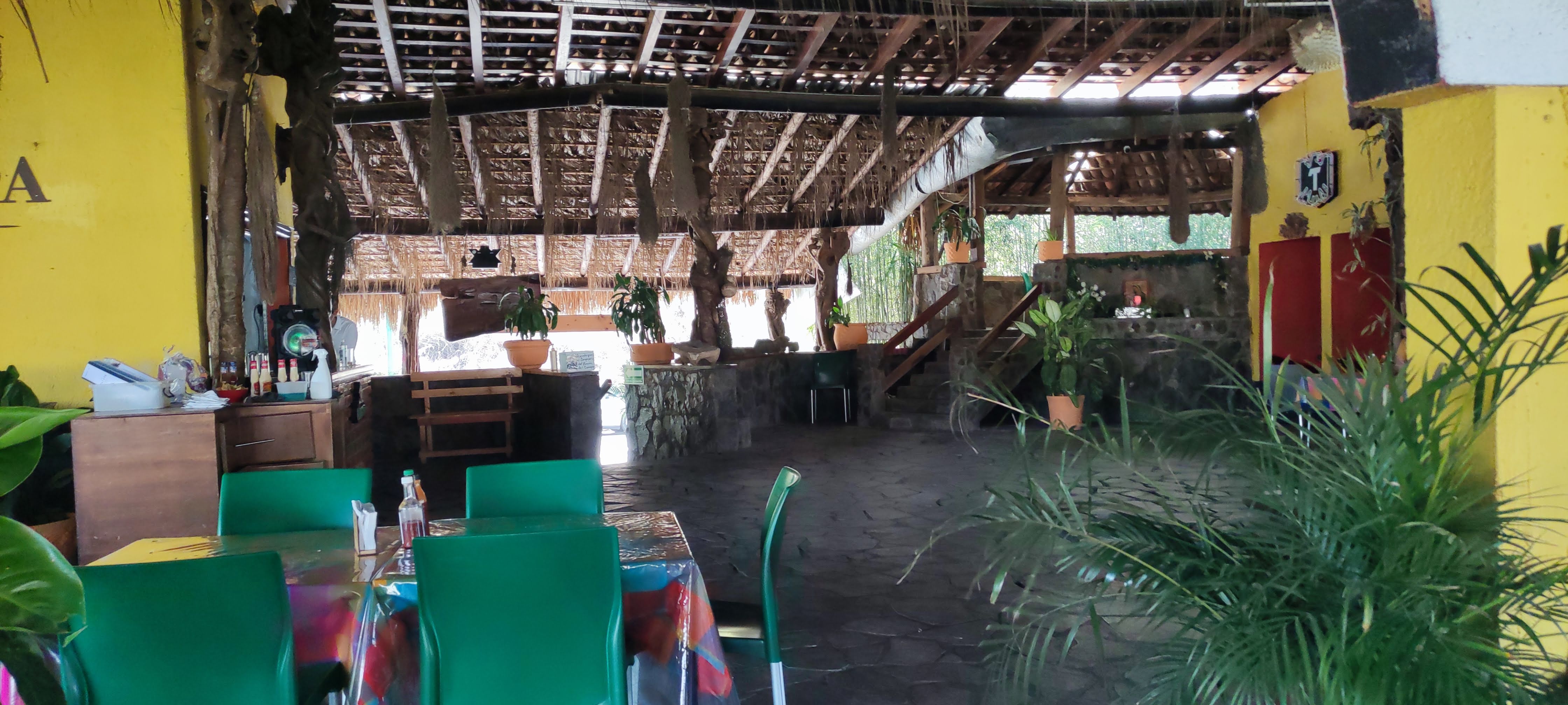 La Palapa image 1