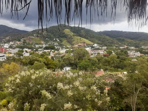 La Palapa image 4