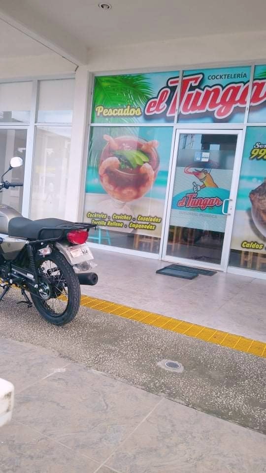 EL TUNGAR POMOCA image 4