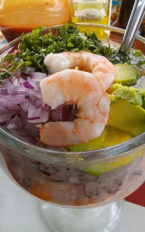 EL TUNGAR POMOCA image 10