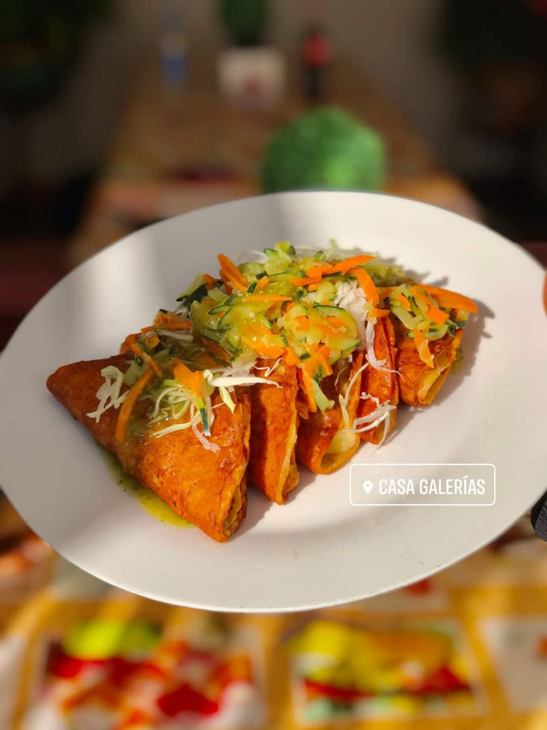 CASA GALERÍAS CRISTEROS image 8