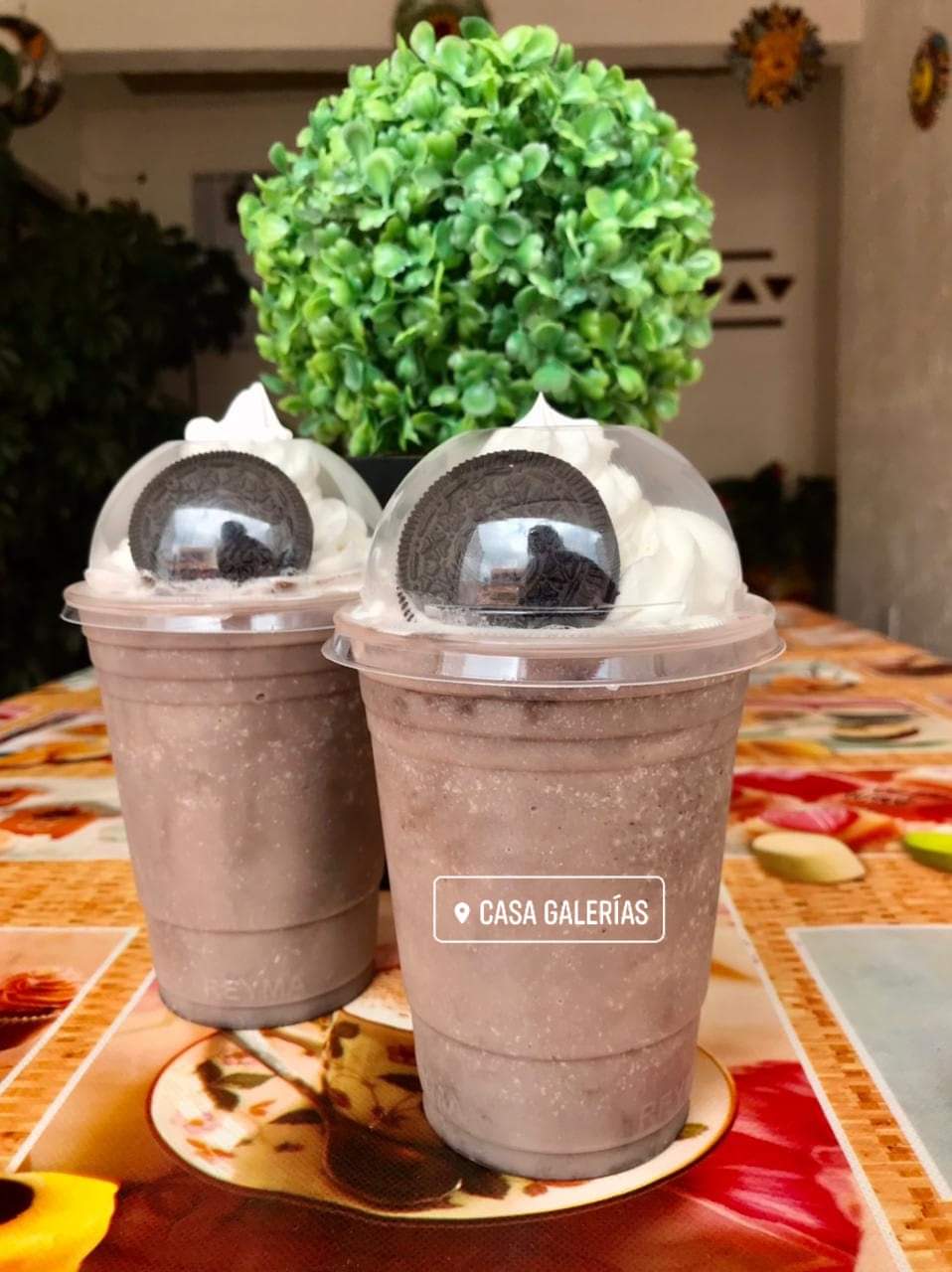 CASA GALERÍAS CRISTEROS image 10