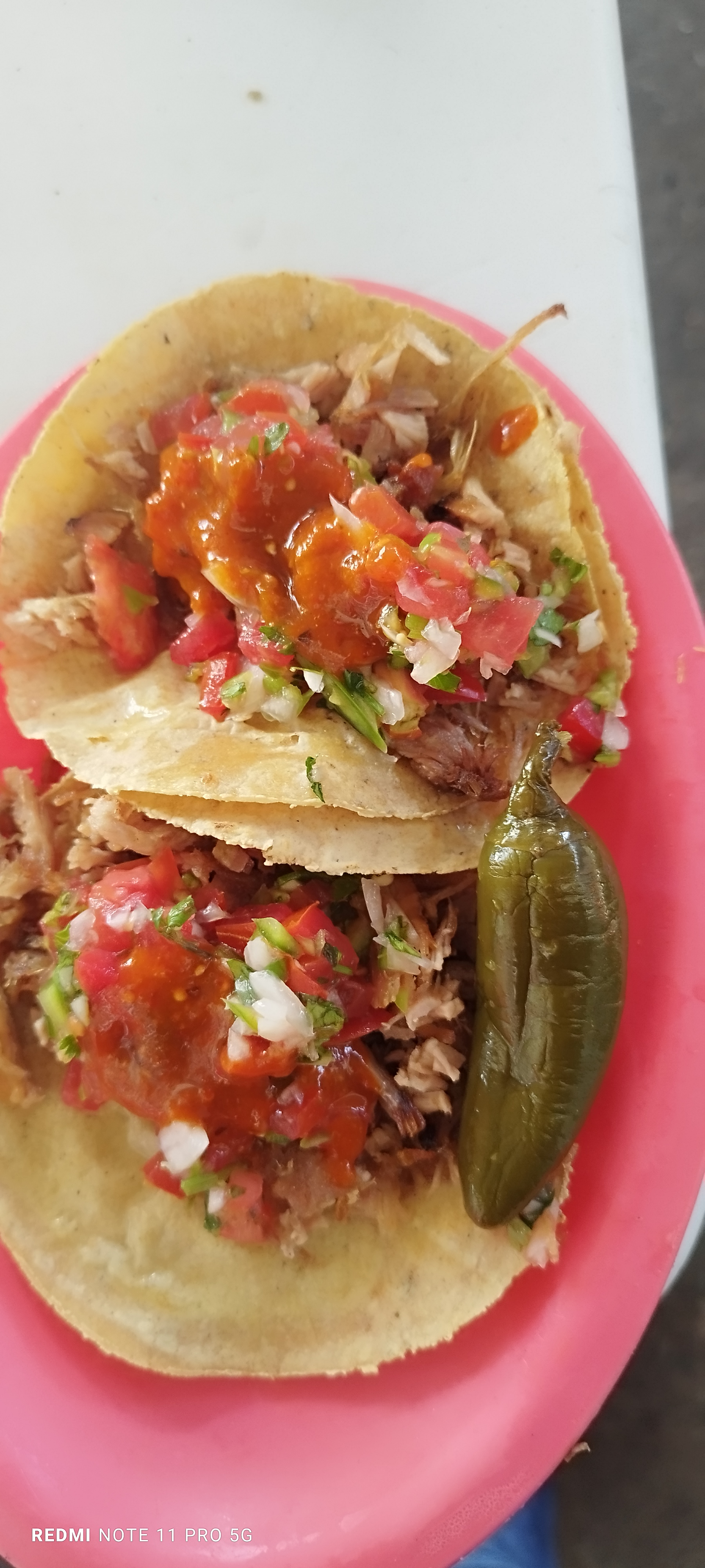 TACOS GONINI image 1