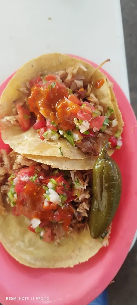 TACOS GONINI image 1