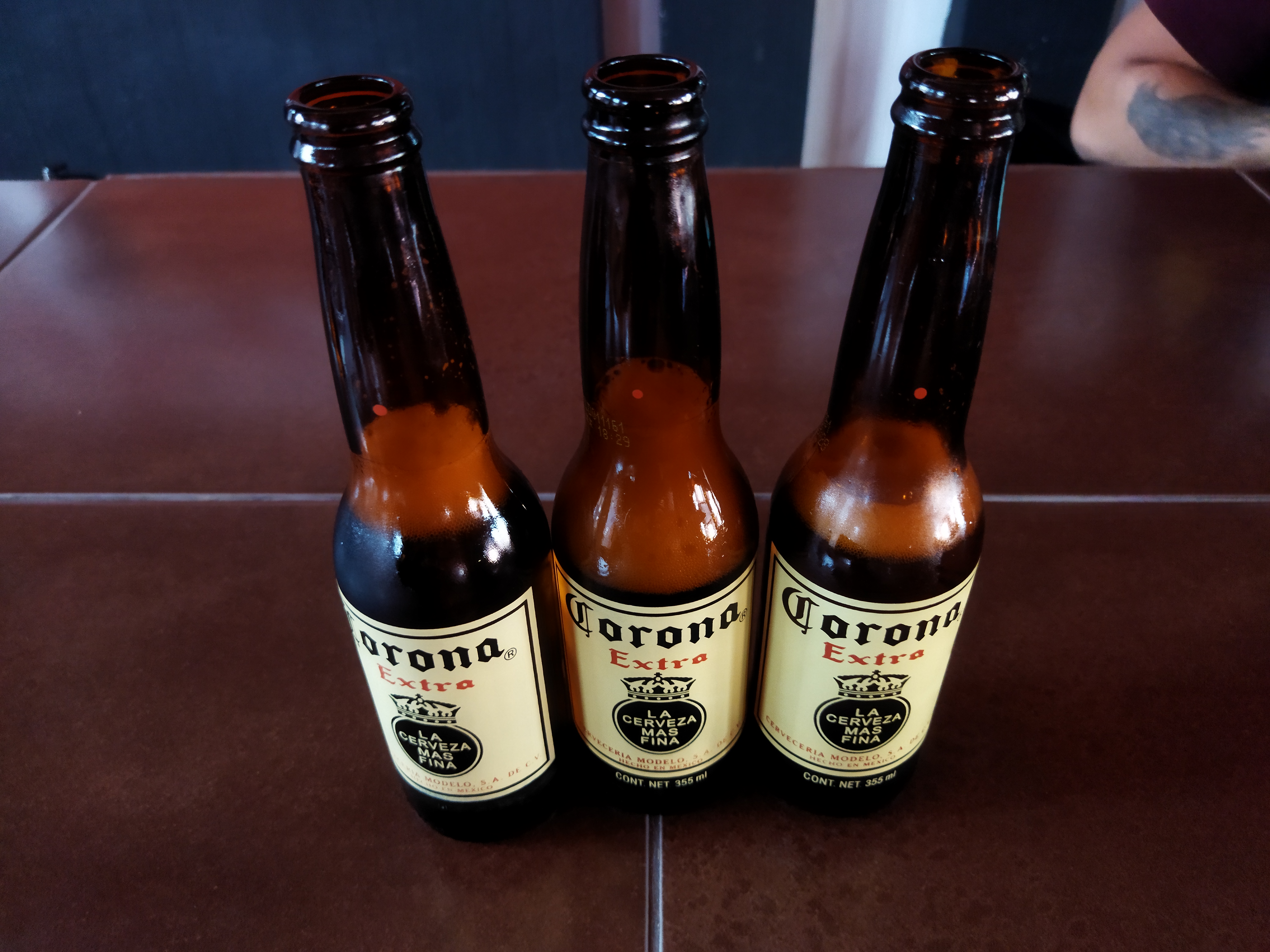 Rock & Wings Lagos de Moreno image 3