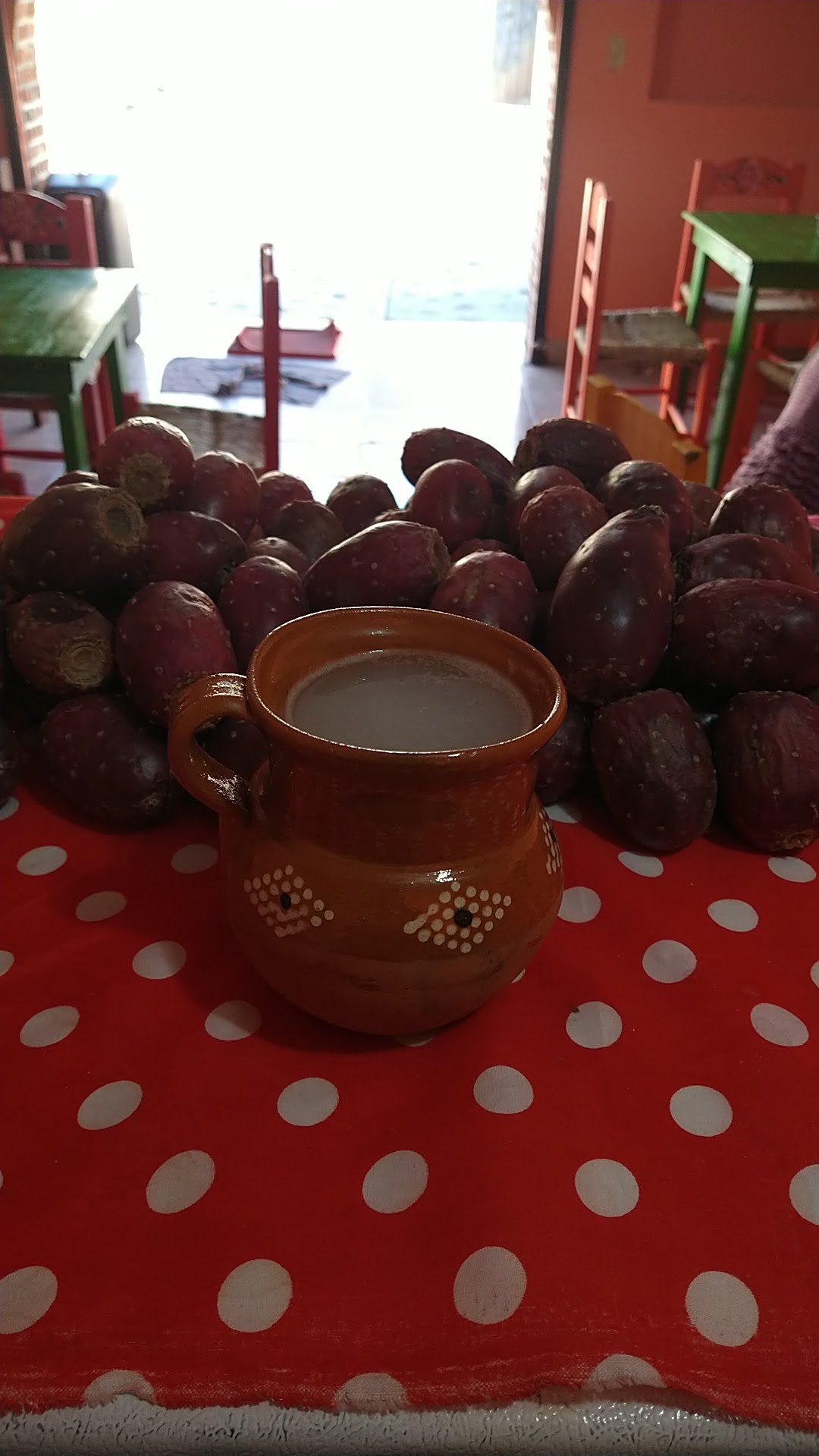 Octli Chantli "La casa del Pulque" image 2