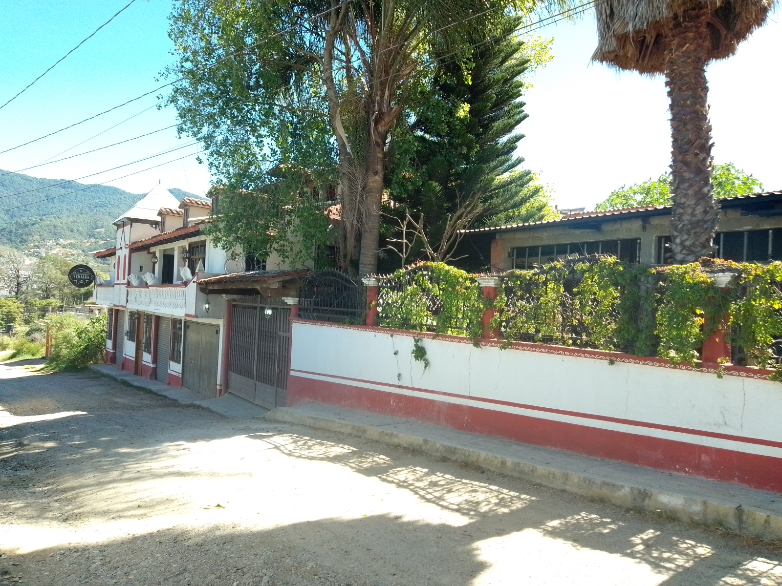 Zenaida restaurant image 1