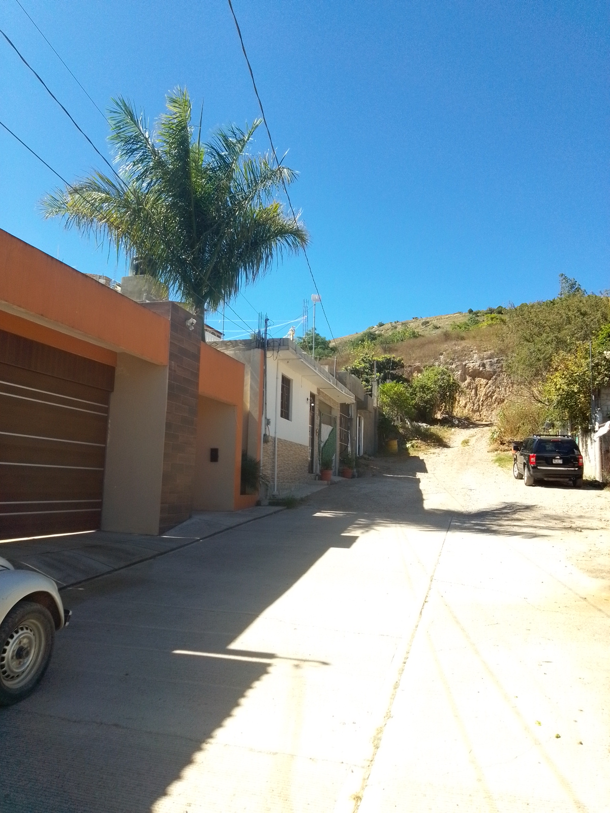 Zenaida restaurant image 2