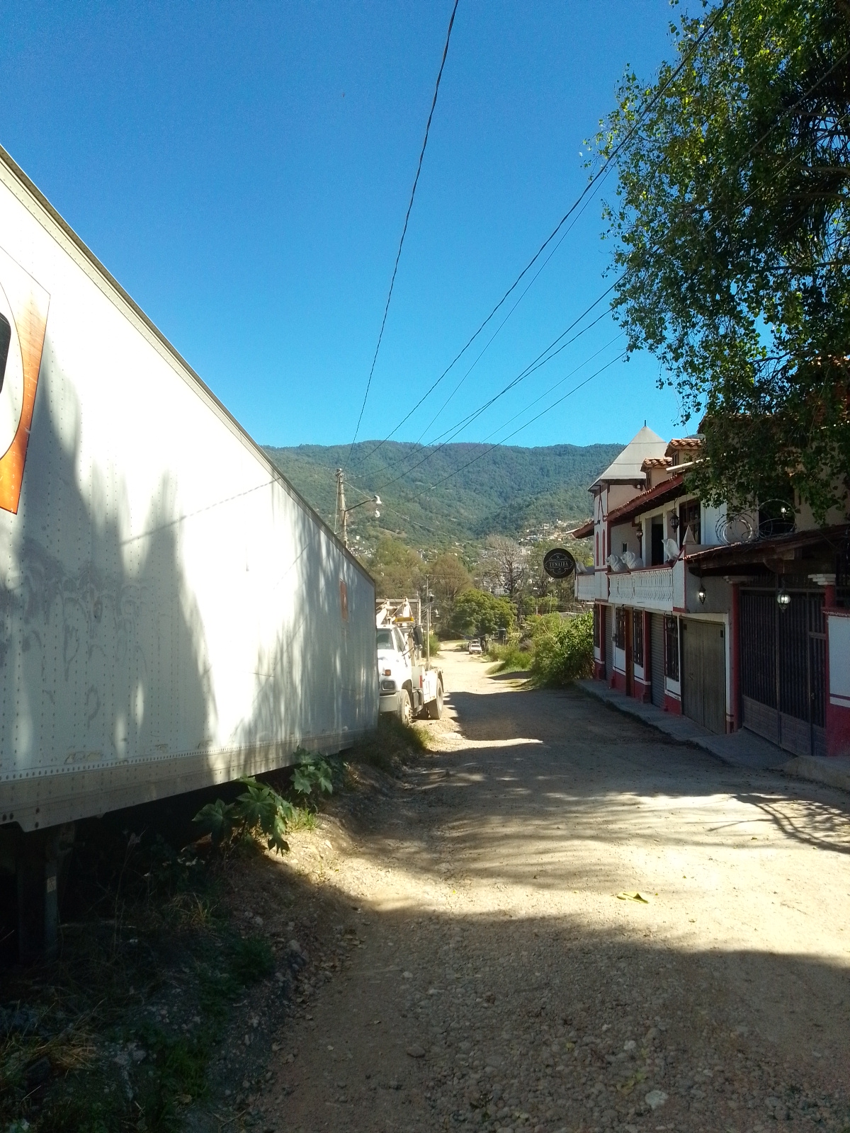 Zenaida restaurant image 3