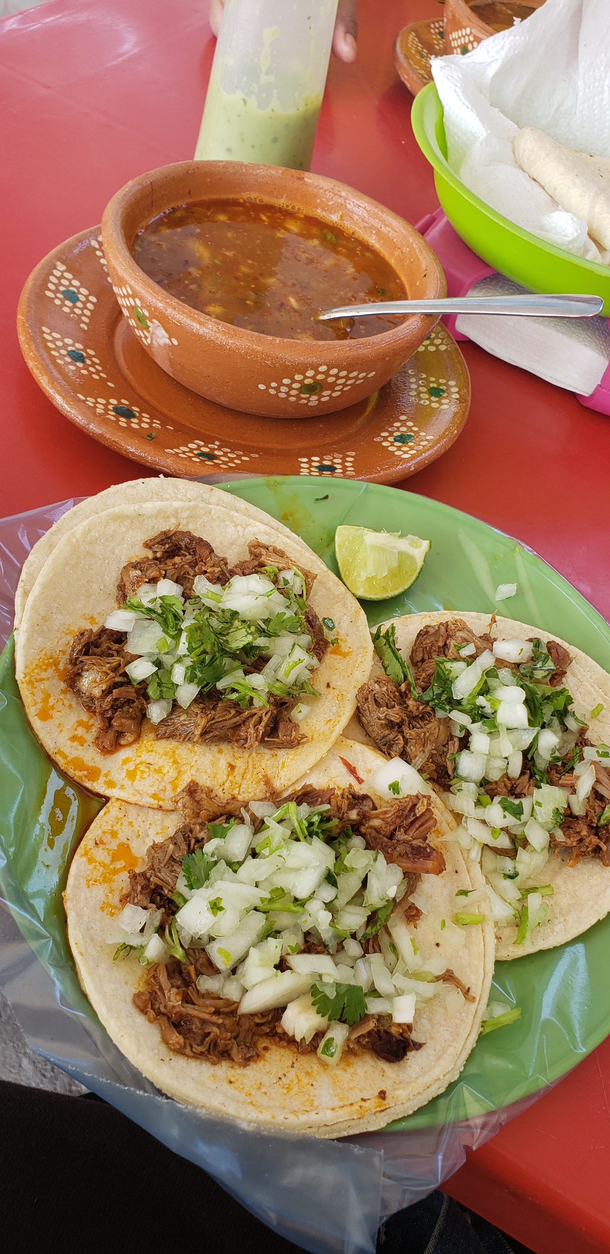 El Borrego Andariego image 2