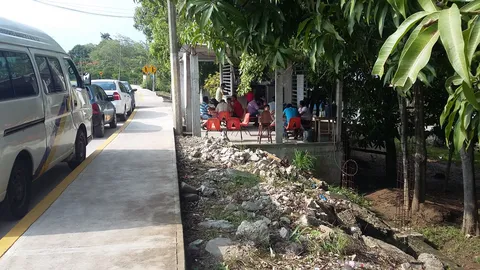 El Borrego Andariego image 4