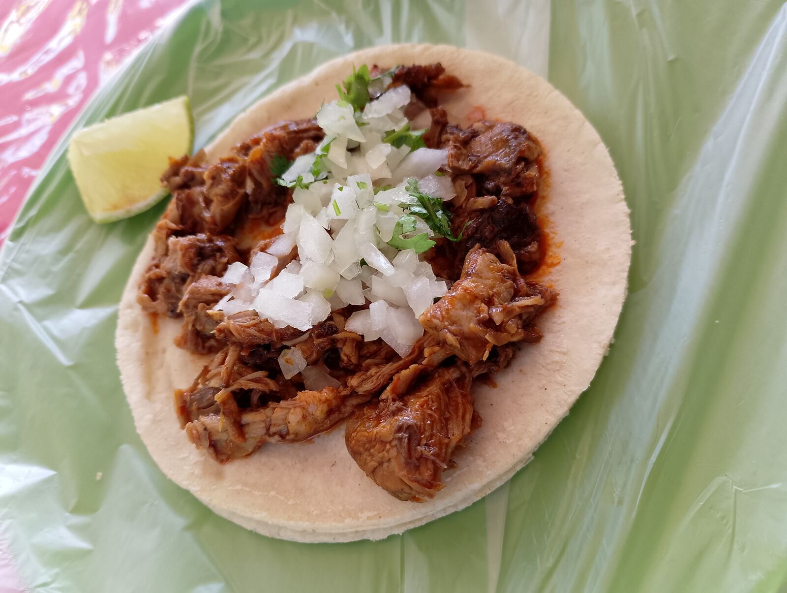El Borrego Andariego image 5
