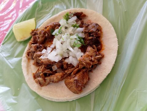 El Borrego Andariego image 5