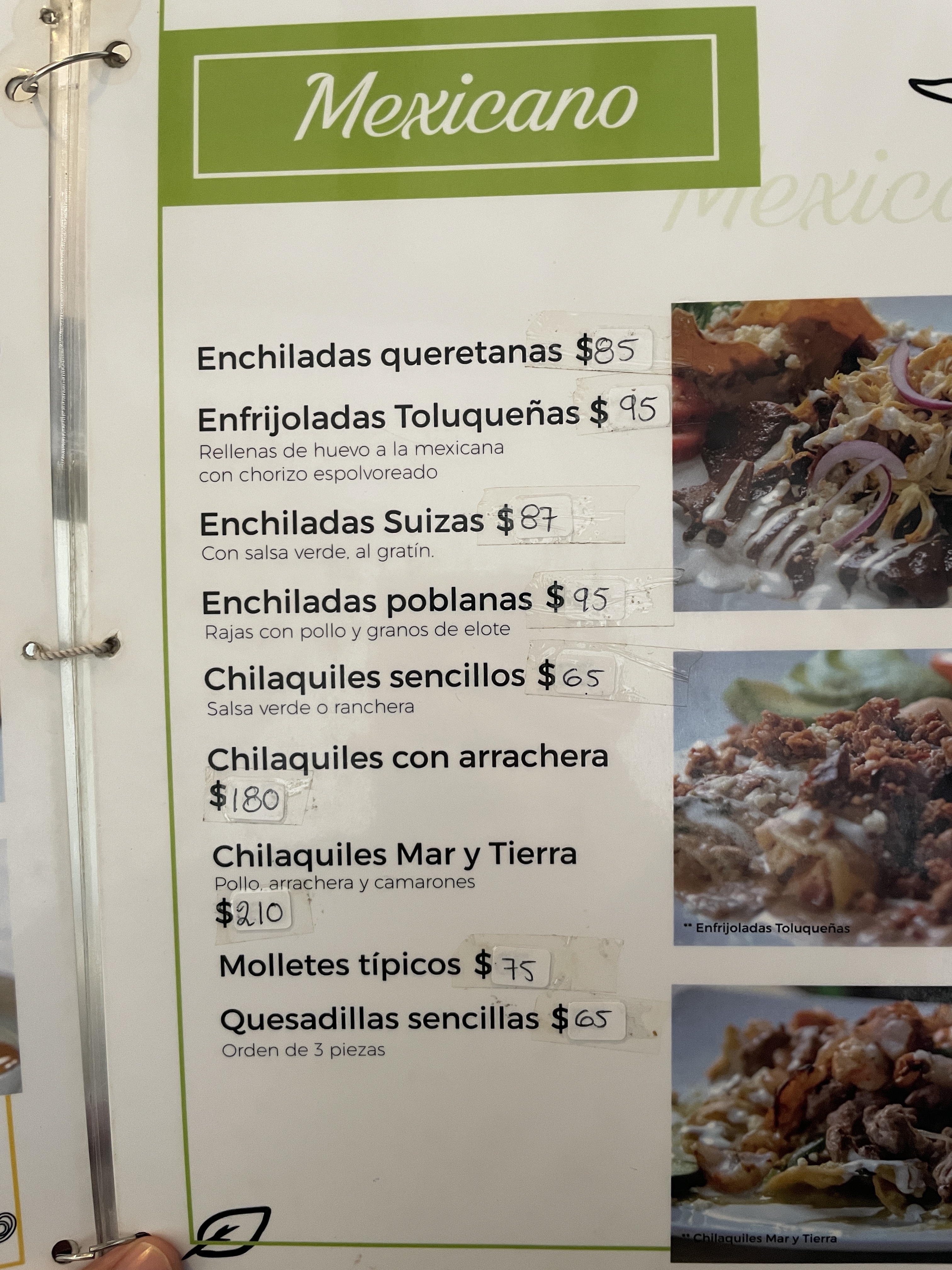 Viva La Vida image 8