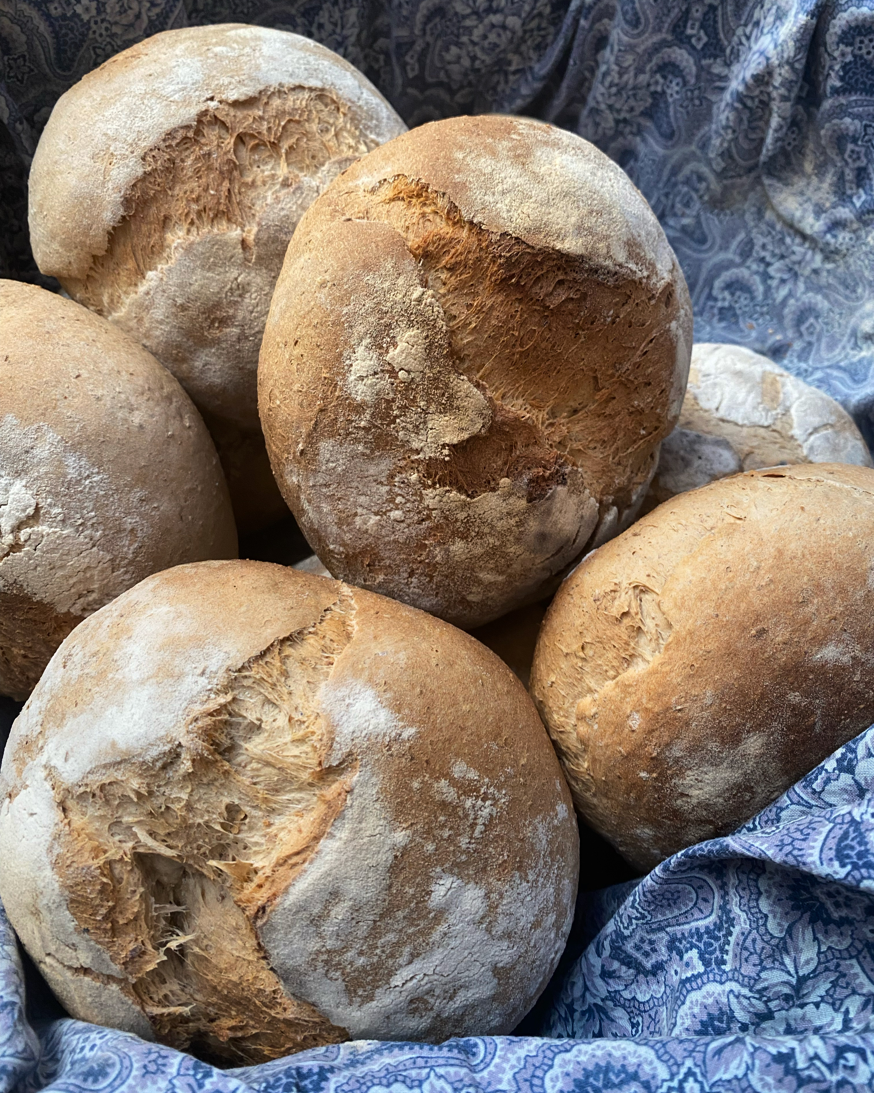 Camino a Bremen, Pizza y Pasta image 7