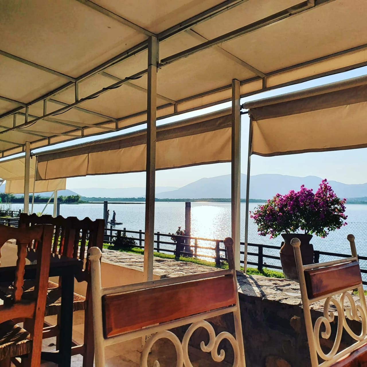 Quinta "Los Girasoles" image 1