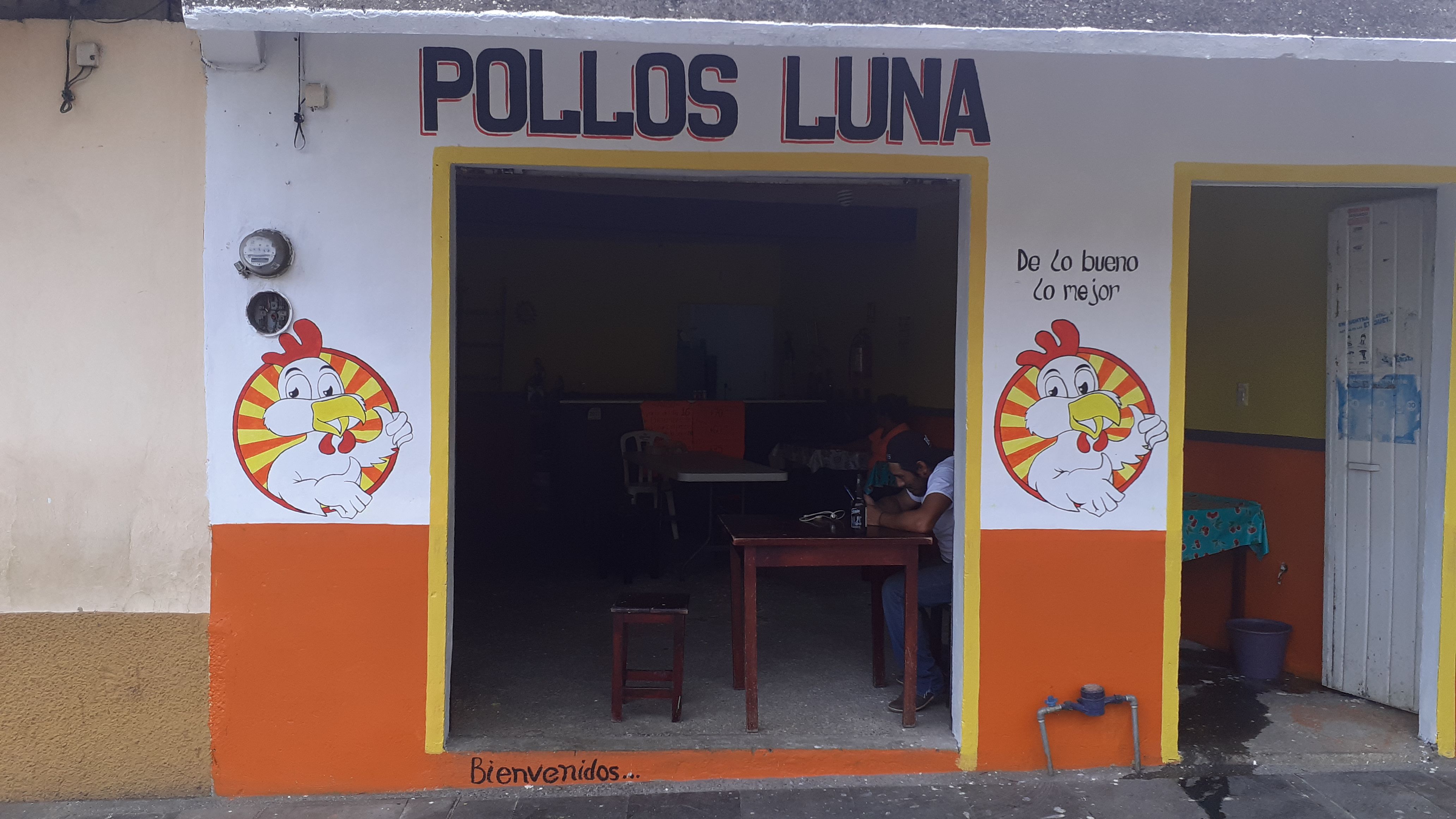 pollos luna image 1