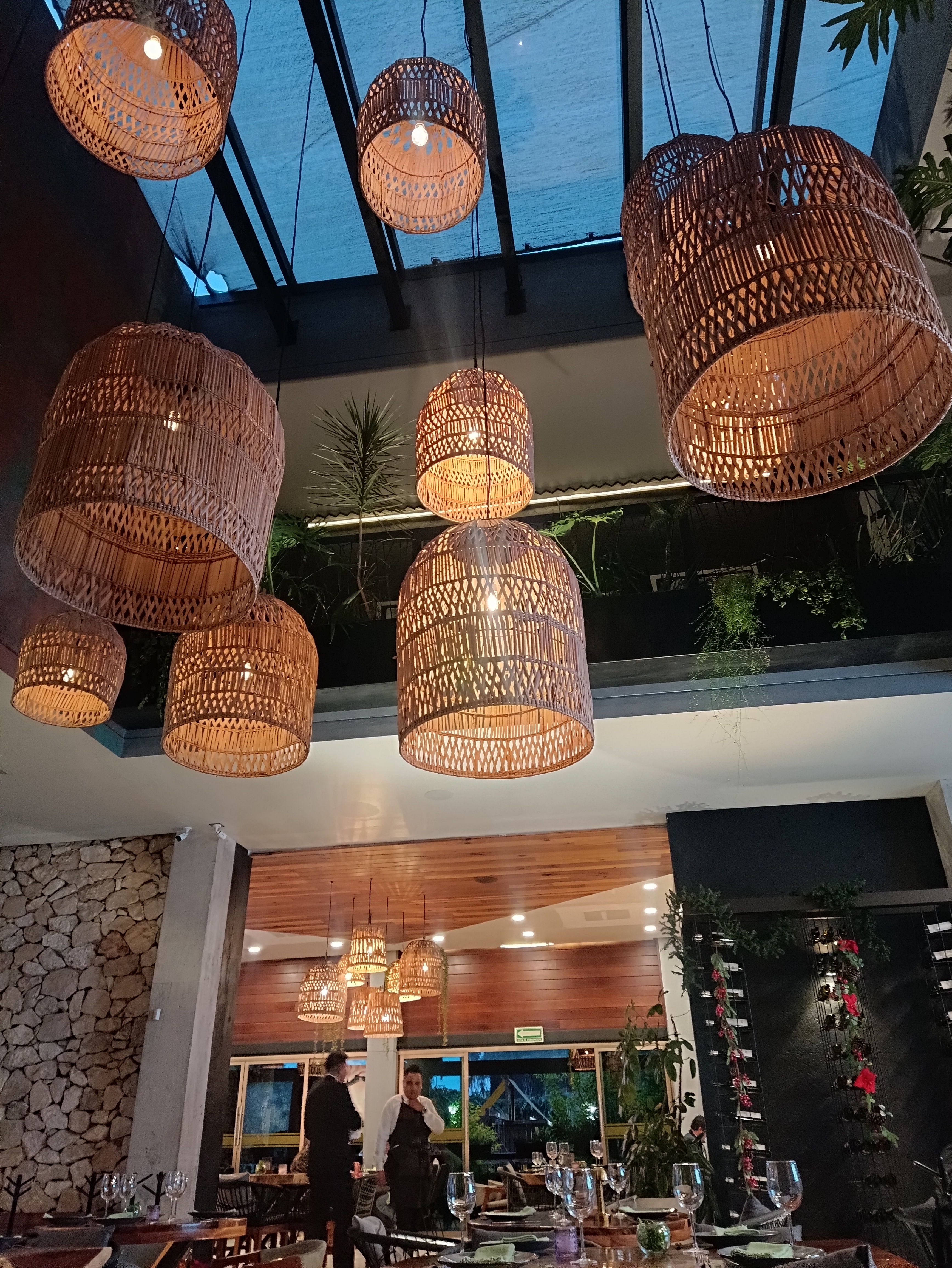 Los Arbolitos image 4