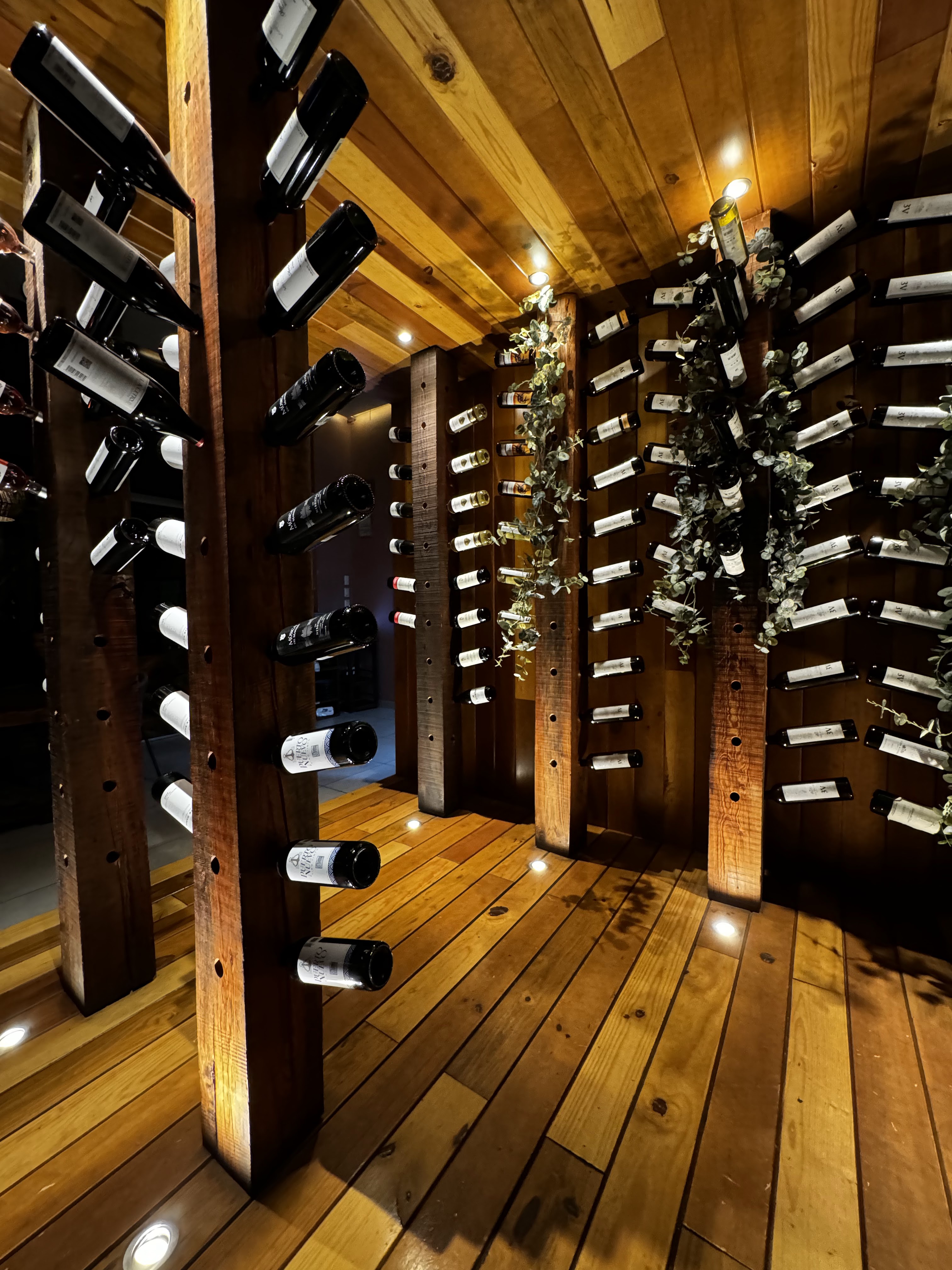 Los Arbolitos image 5