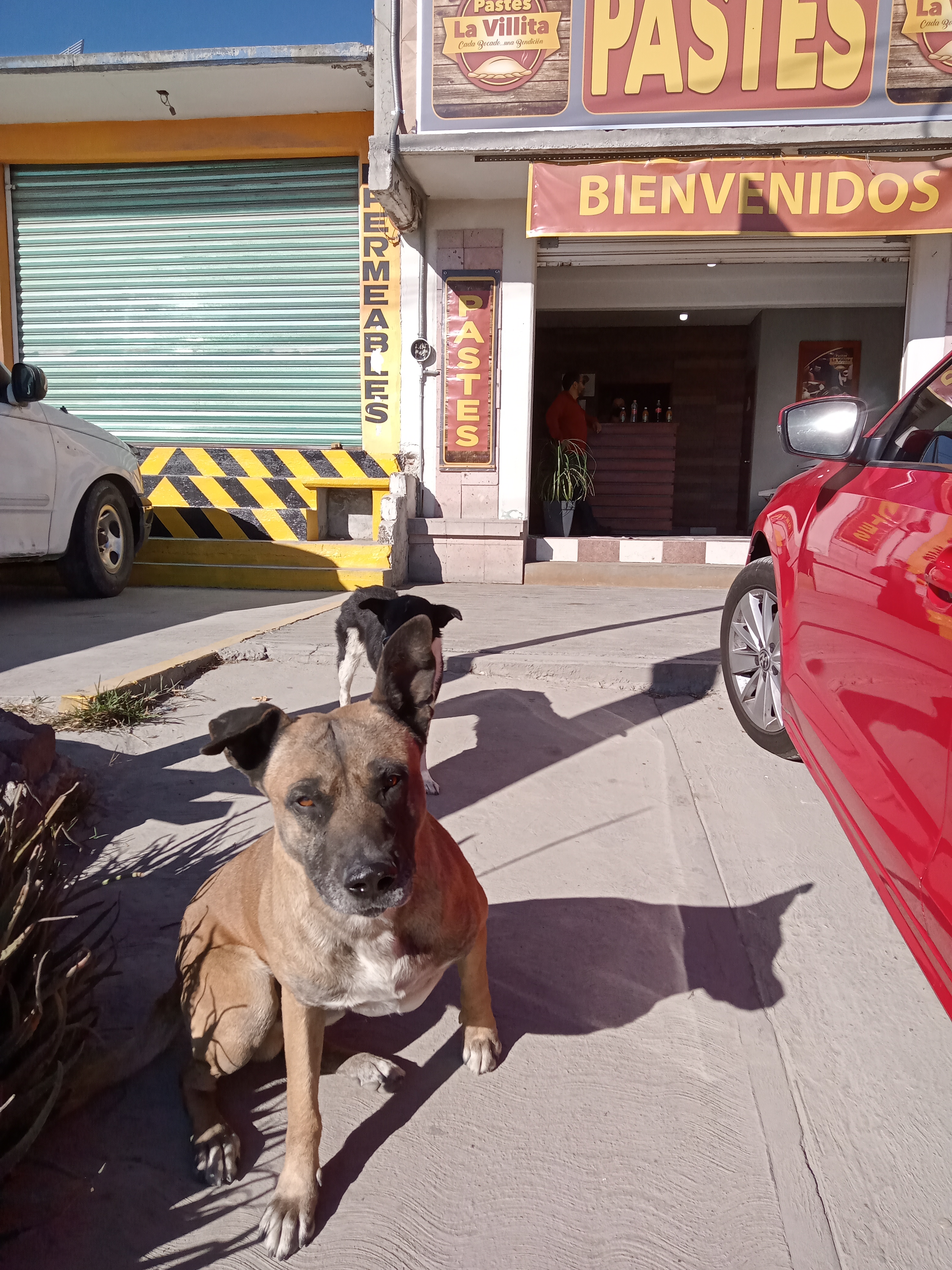 PASTES LA VILLITA image 1