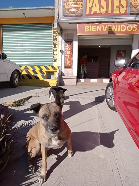 PASTES LA VILLITA image 1