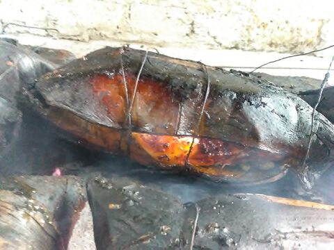 Pollos COPKA image 3