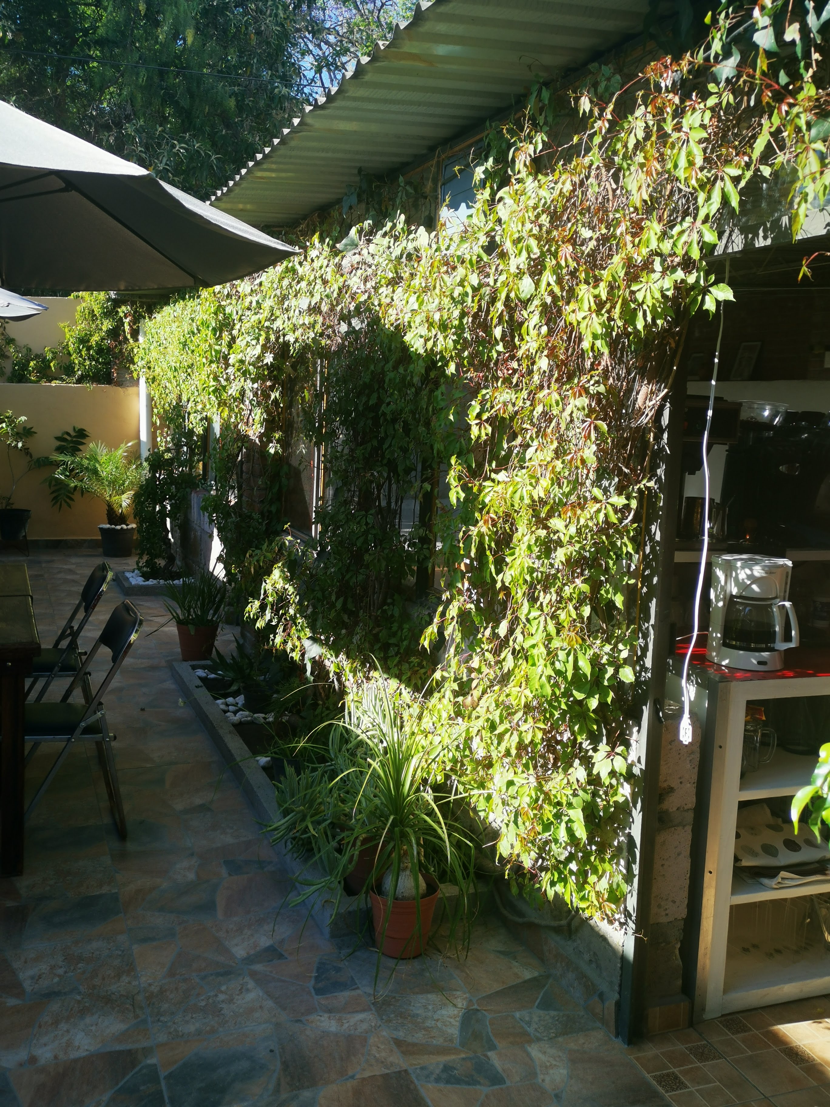 LA VICTORIA FONDA image 6