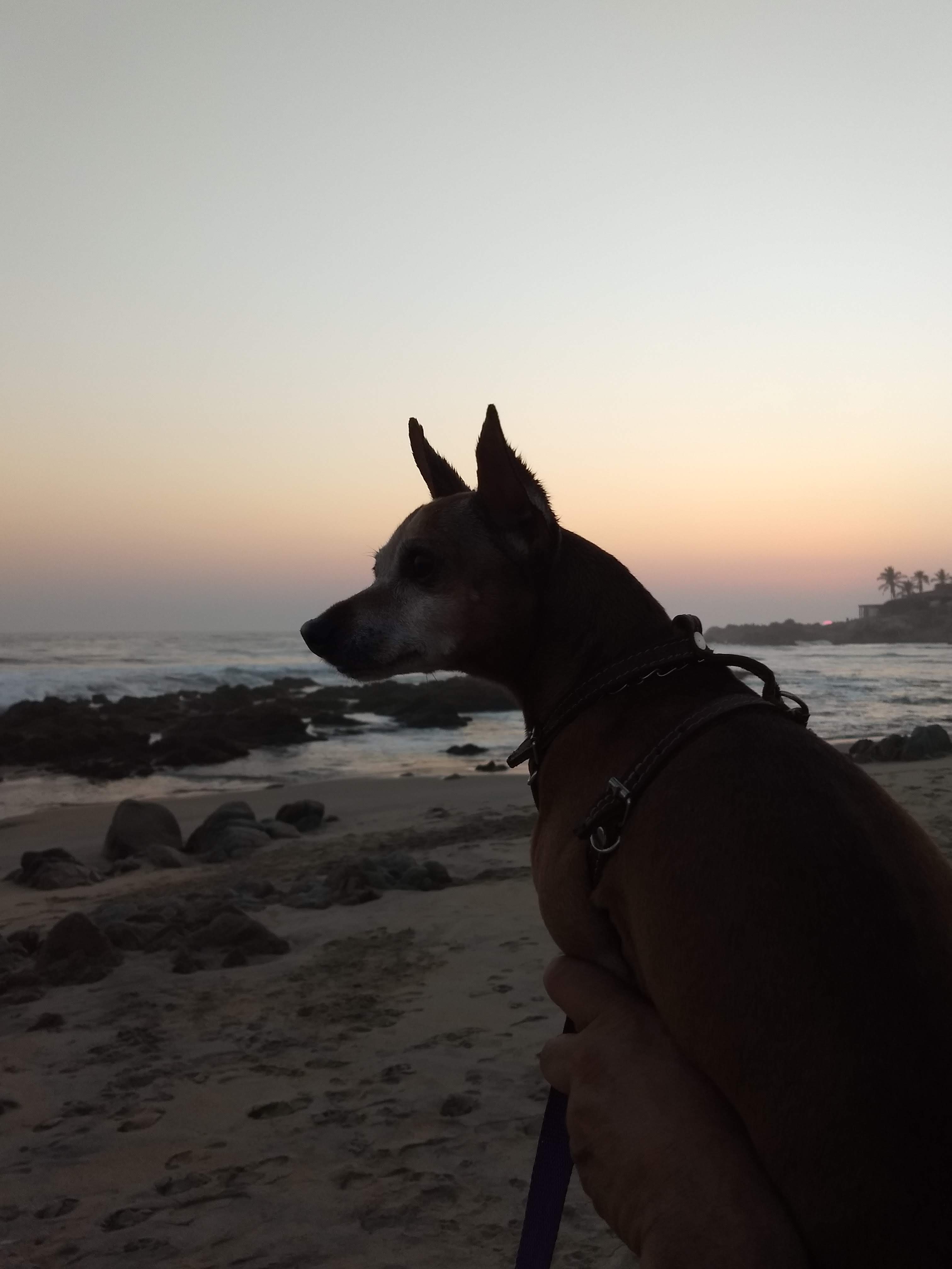 Restaurante Doña Maura image 3