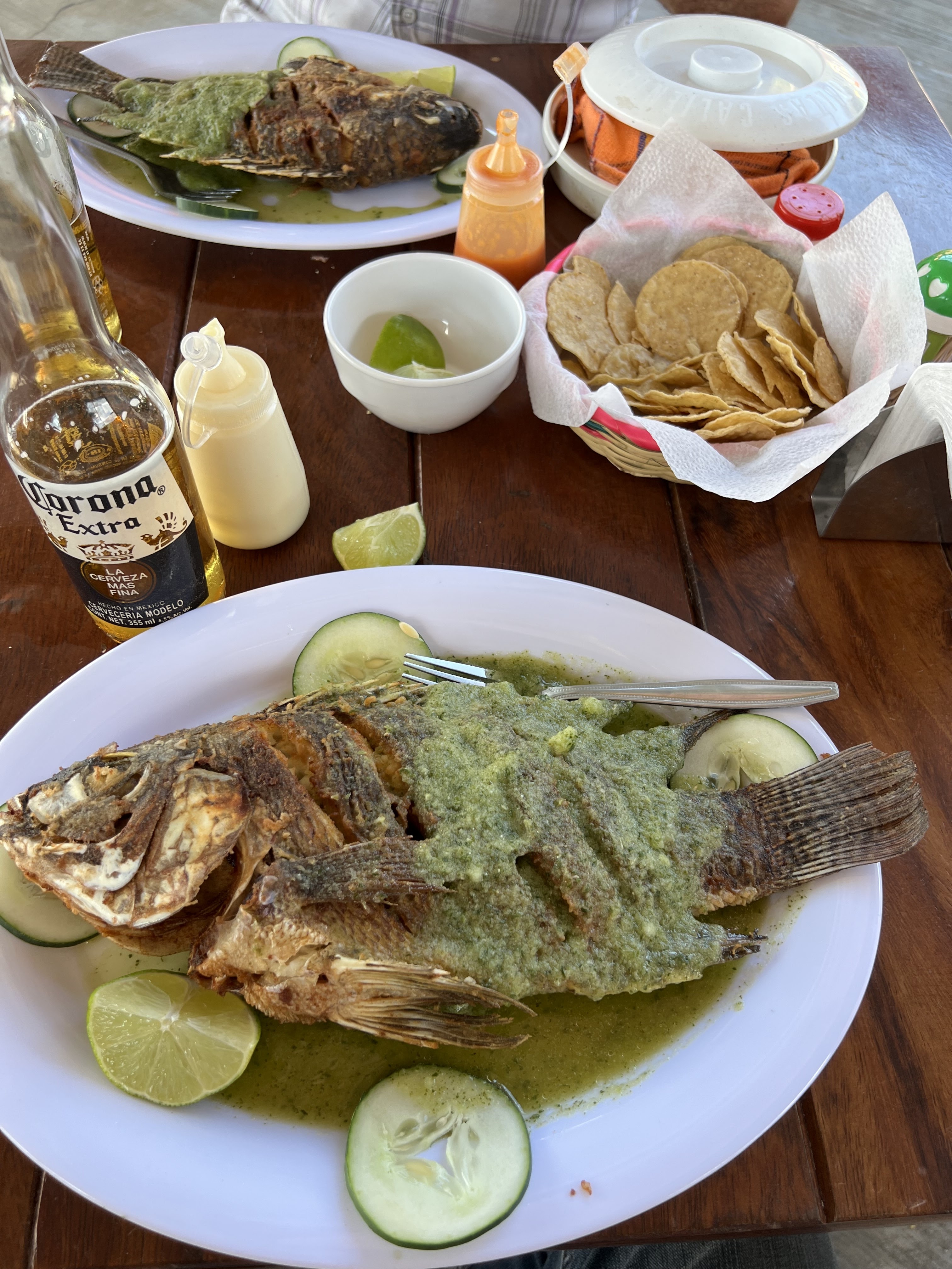 LA PALAPA DEL PATRON image 2