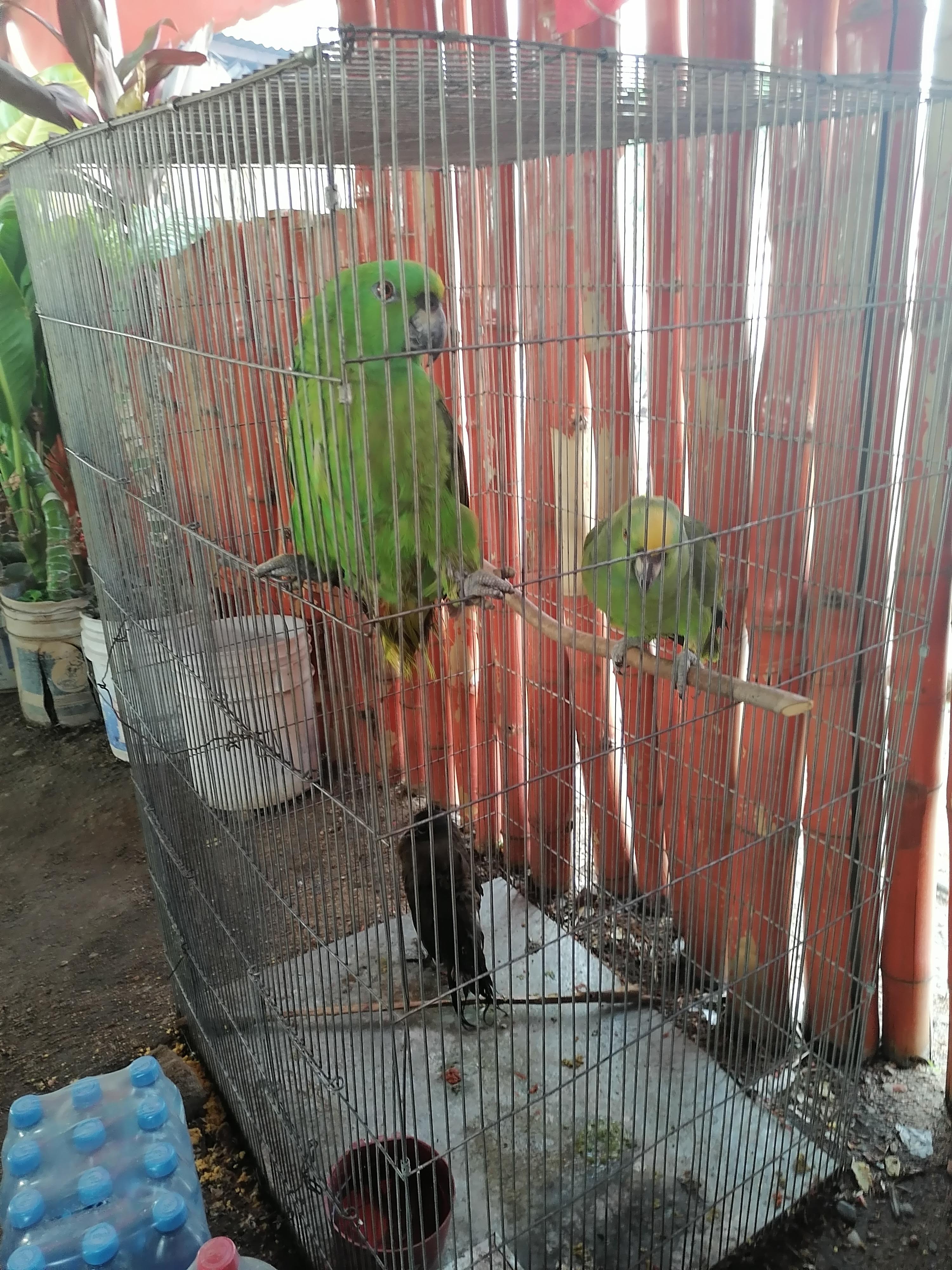 Restaurante "Doña Ceci" image 9