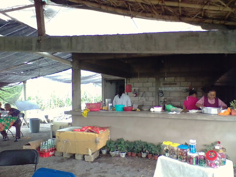 La ceiba, amate amarillo. image 8