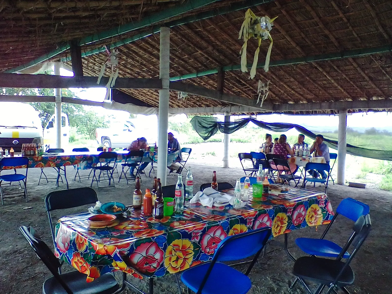 La ceiba, amate amarillo. image 9