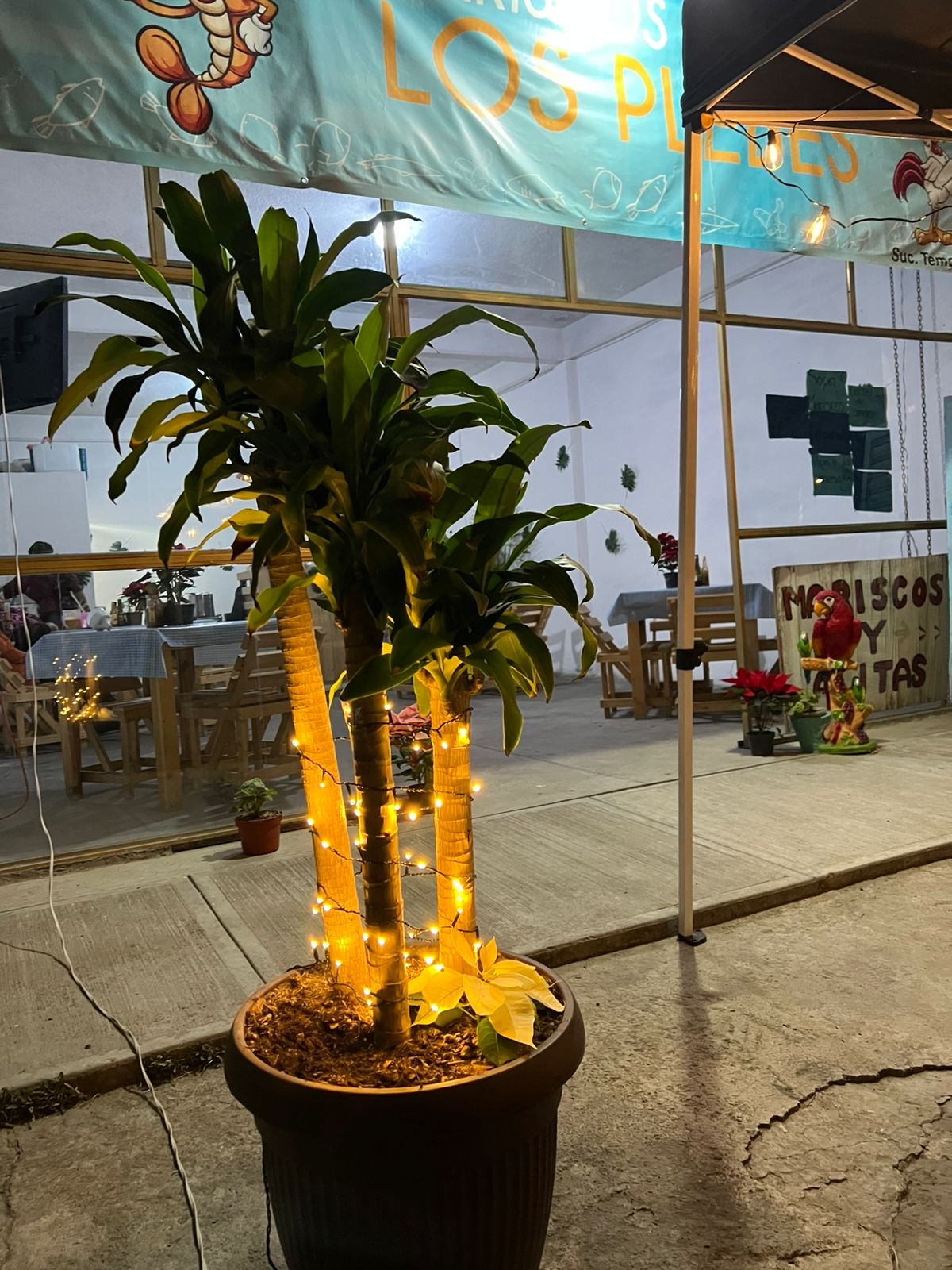 Mariscos y Alitas "LOS PLEBES" image 5