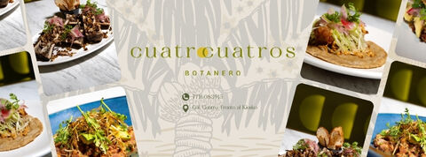 Cuatro Cuatros Botanero image 1