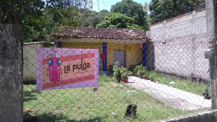 La Pulga Huejutla image 6