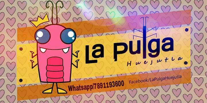 La Pulga Huejutla image 8