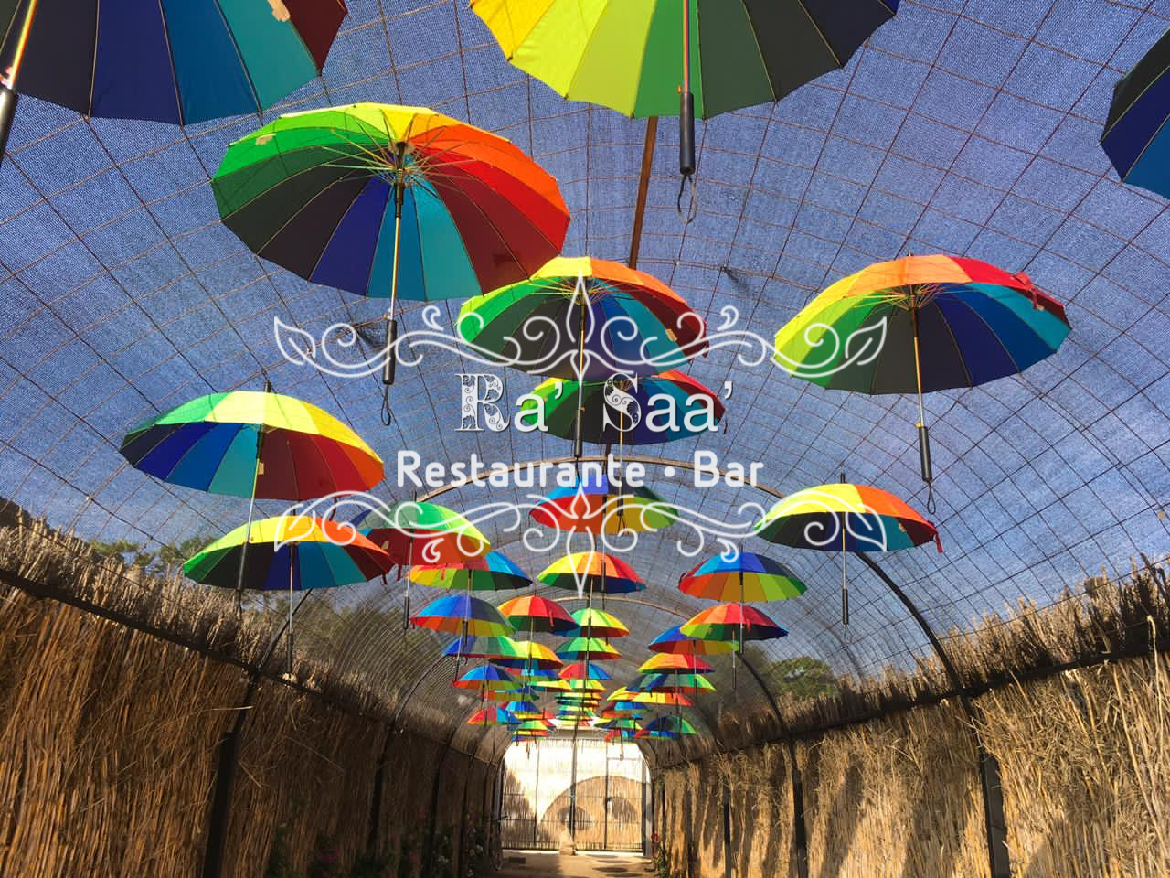 Ra’ Saa’ - La Pachanga image 3