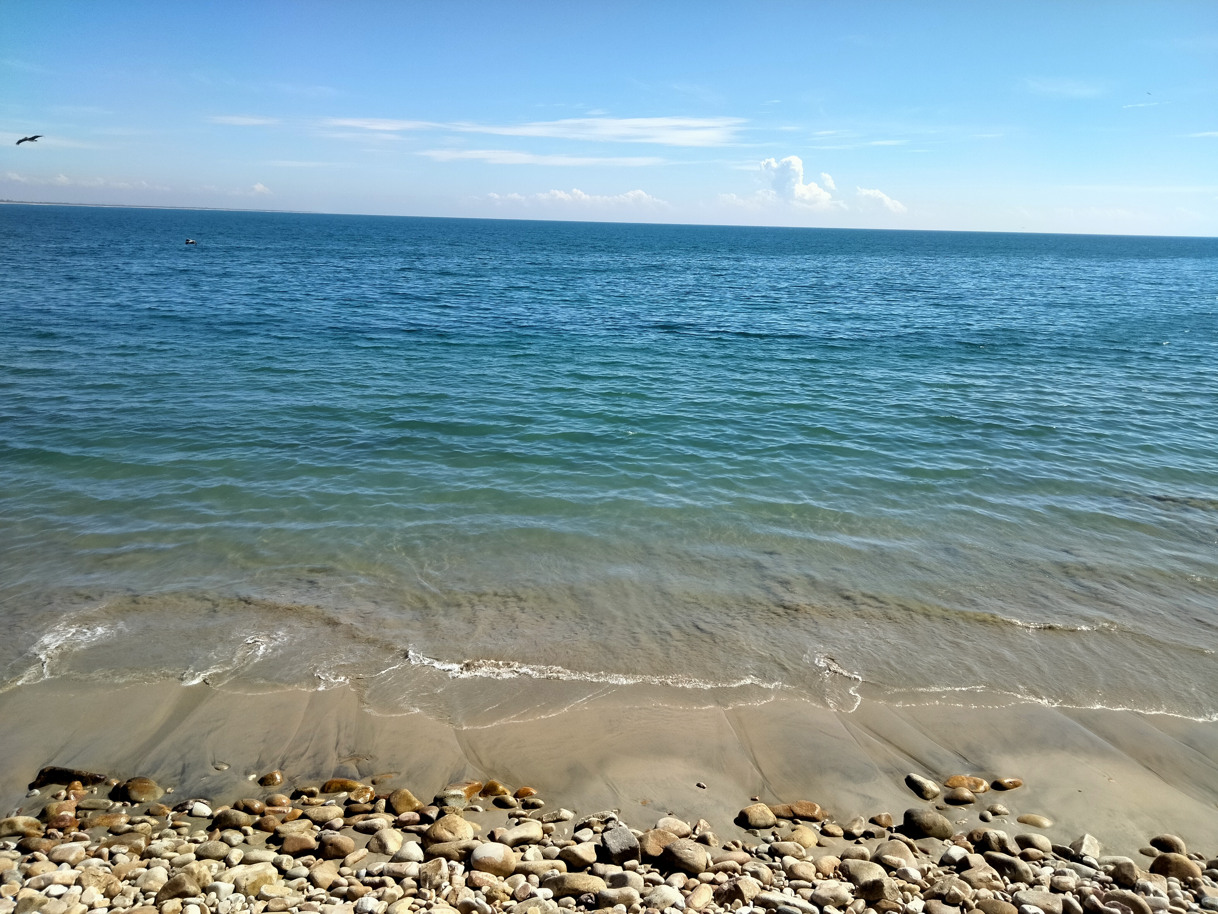 Restaurant "El Faro" image 6