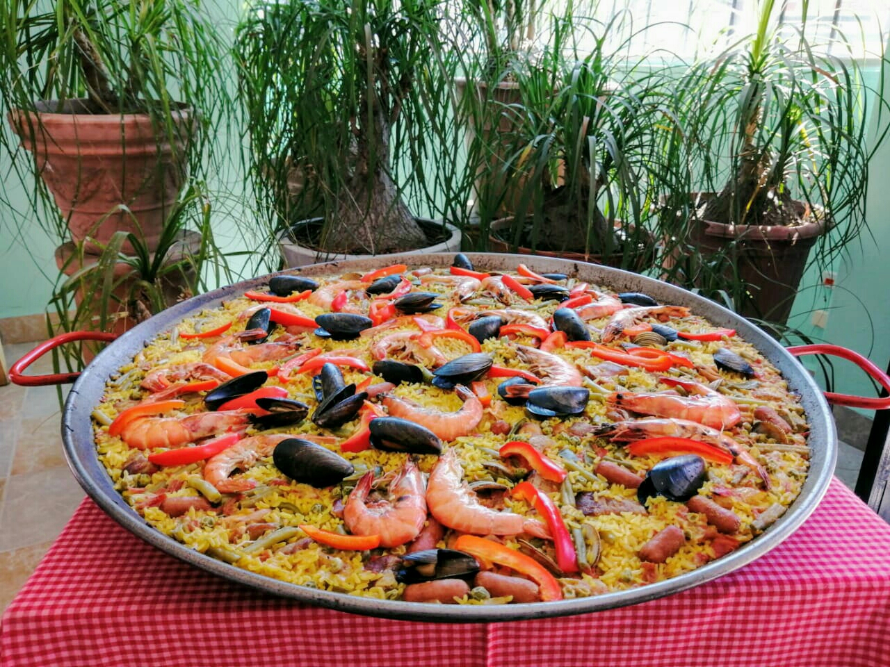 El Matador y su Cuadrilla image 1