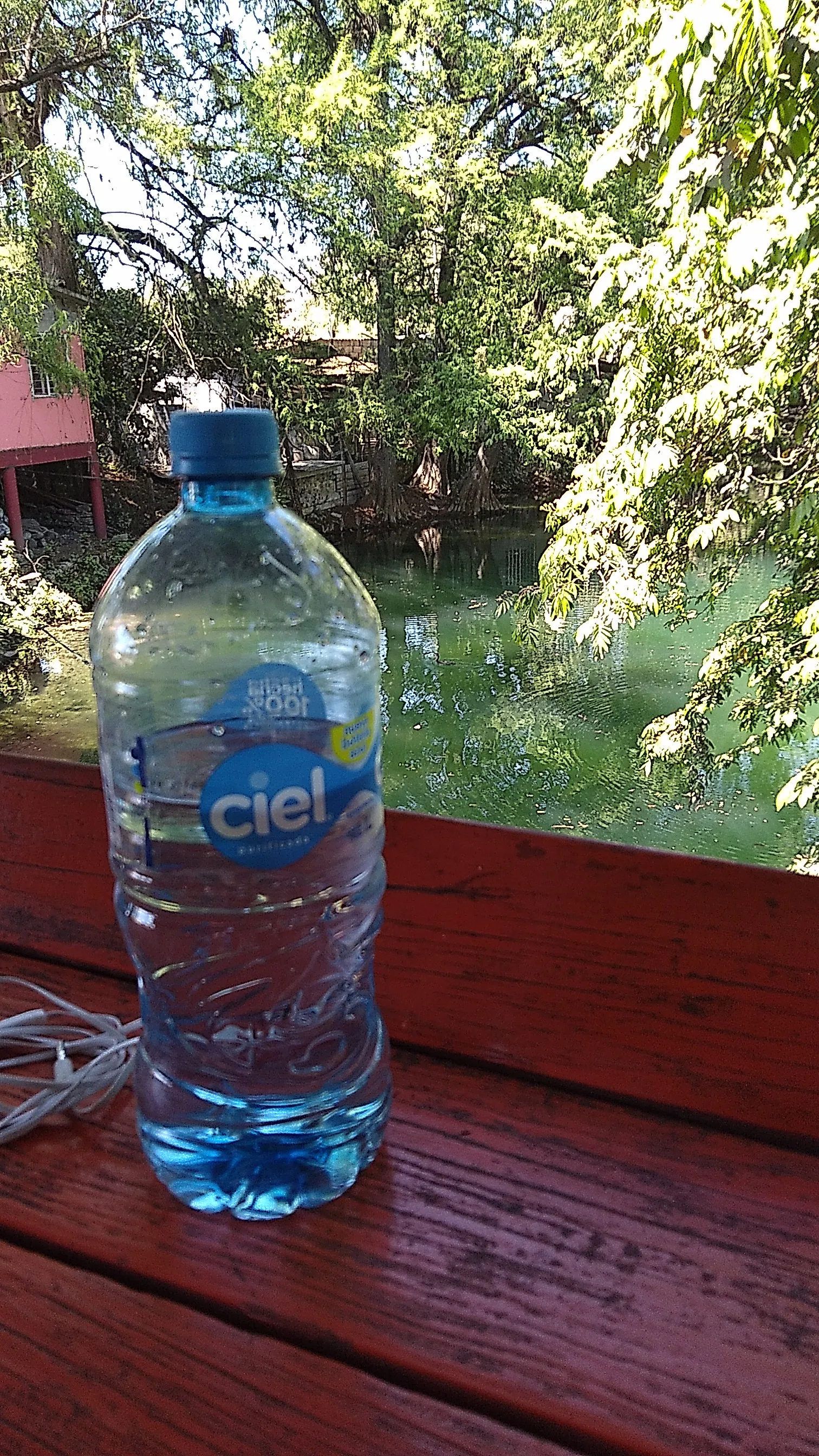 comedor image 1