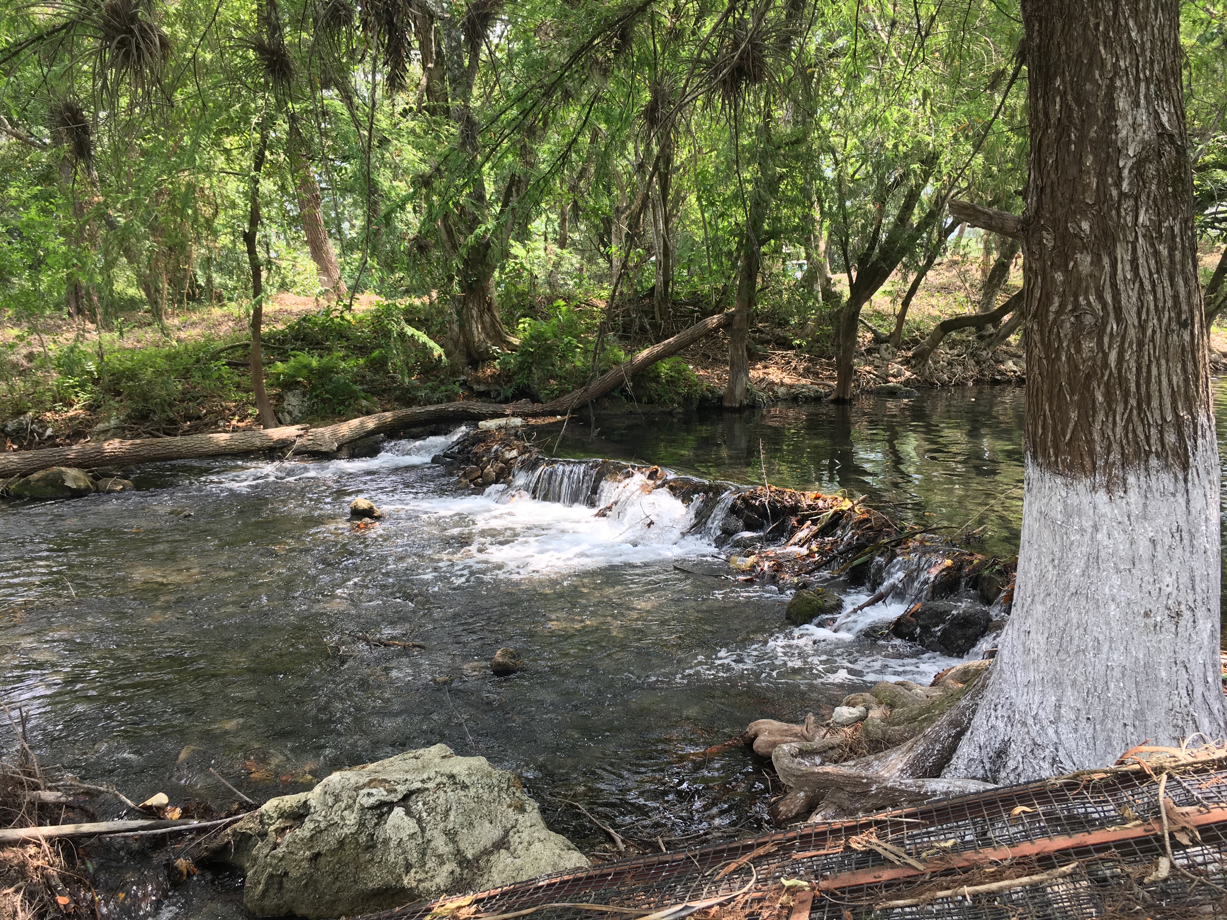 Balneario Pretiles image 1