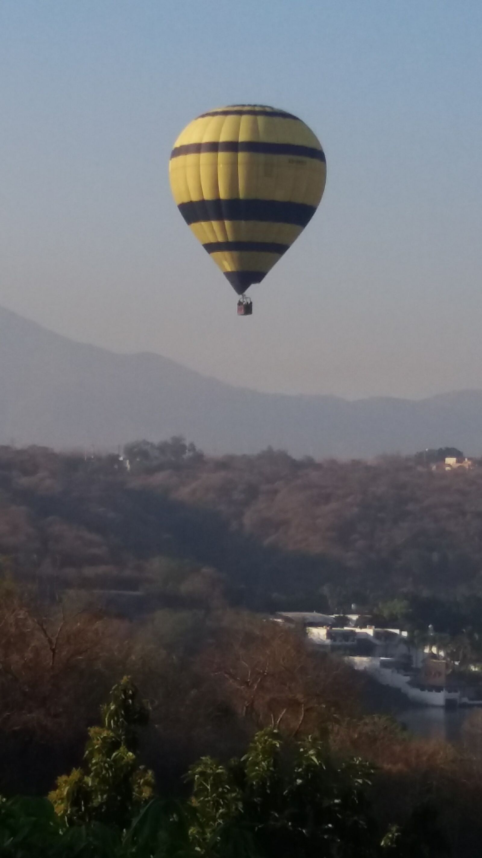 LA TERRAZA image 9