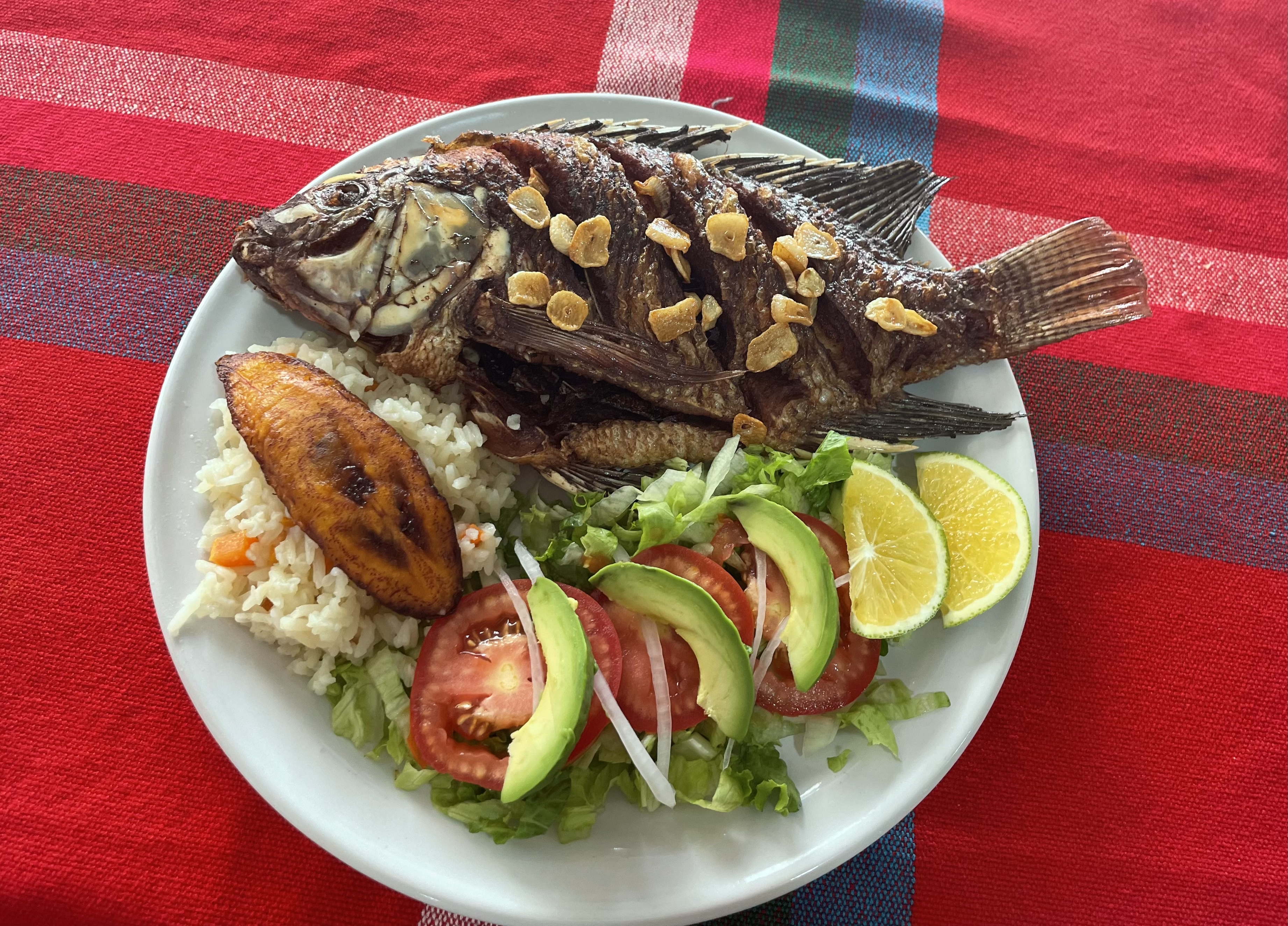 El Rincón Playa Ejidal image 6