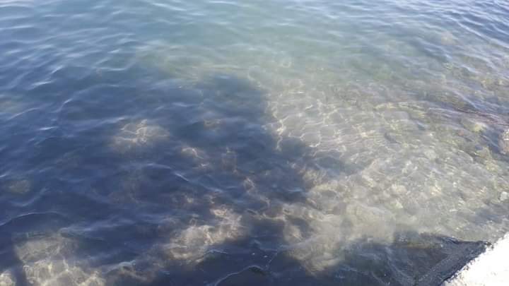 Playa "Los Mangos" image 10