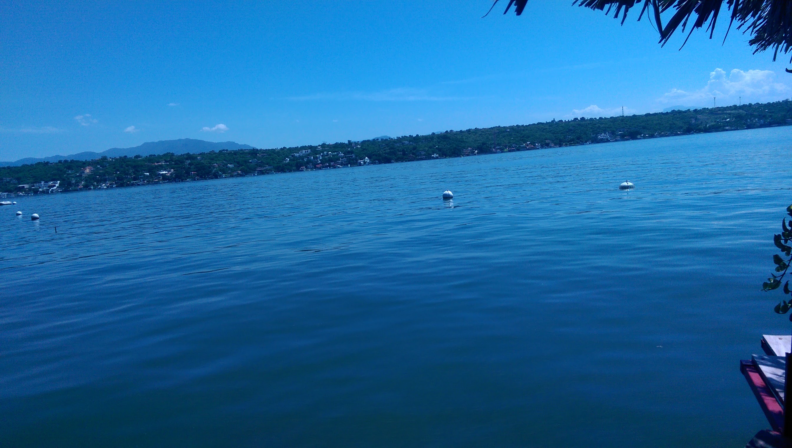 Antojitos Luis image 3